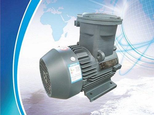 YBX4 系列高效率隔爆型三相異步電機(jī) BT4/CT4