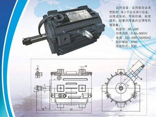 CZ 系列船用軸流風(fēng)機(jī)用三相導(dǎo)步電動(dòng)機(jī)