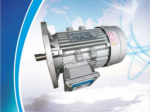 MS 系列鋁殼三相異步電動(dòng)機(jī)